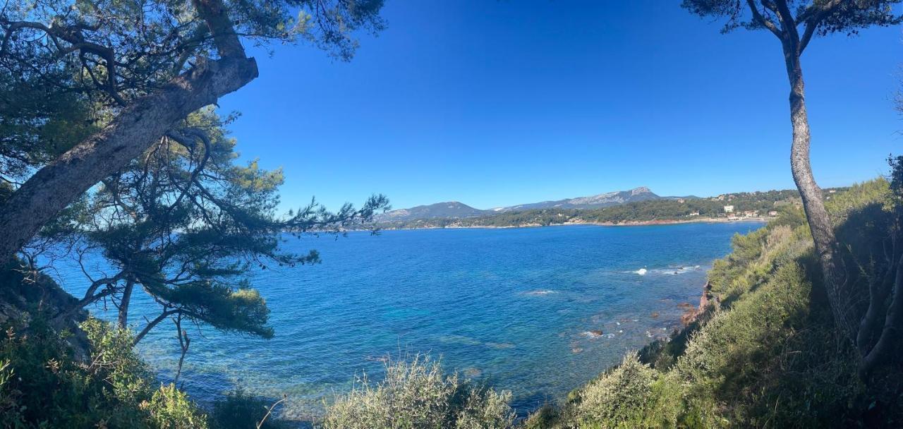 Appartement Cosy Vue Mer A 50 M De La Plage - Refait A Neuf Et Climatise 乐普拉代 外观 照片